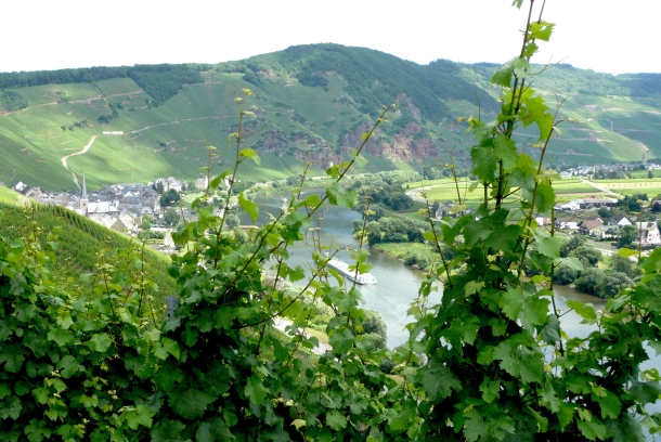 At the bend of the river near Kinheim